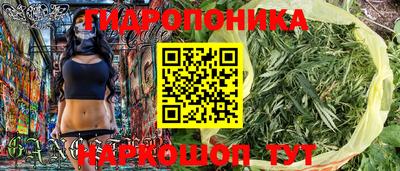 скорость Будённовск