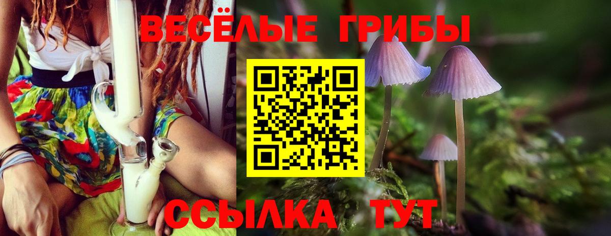 Галлюциногенные грибы Cubensis  Вход с VPN  Тулун  Галлюциногенные грибы Magic Shrooms 